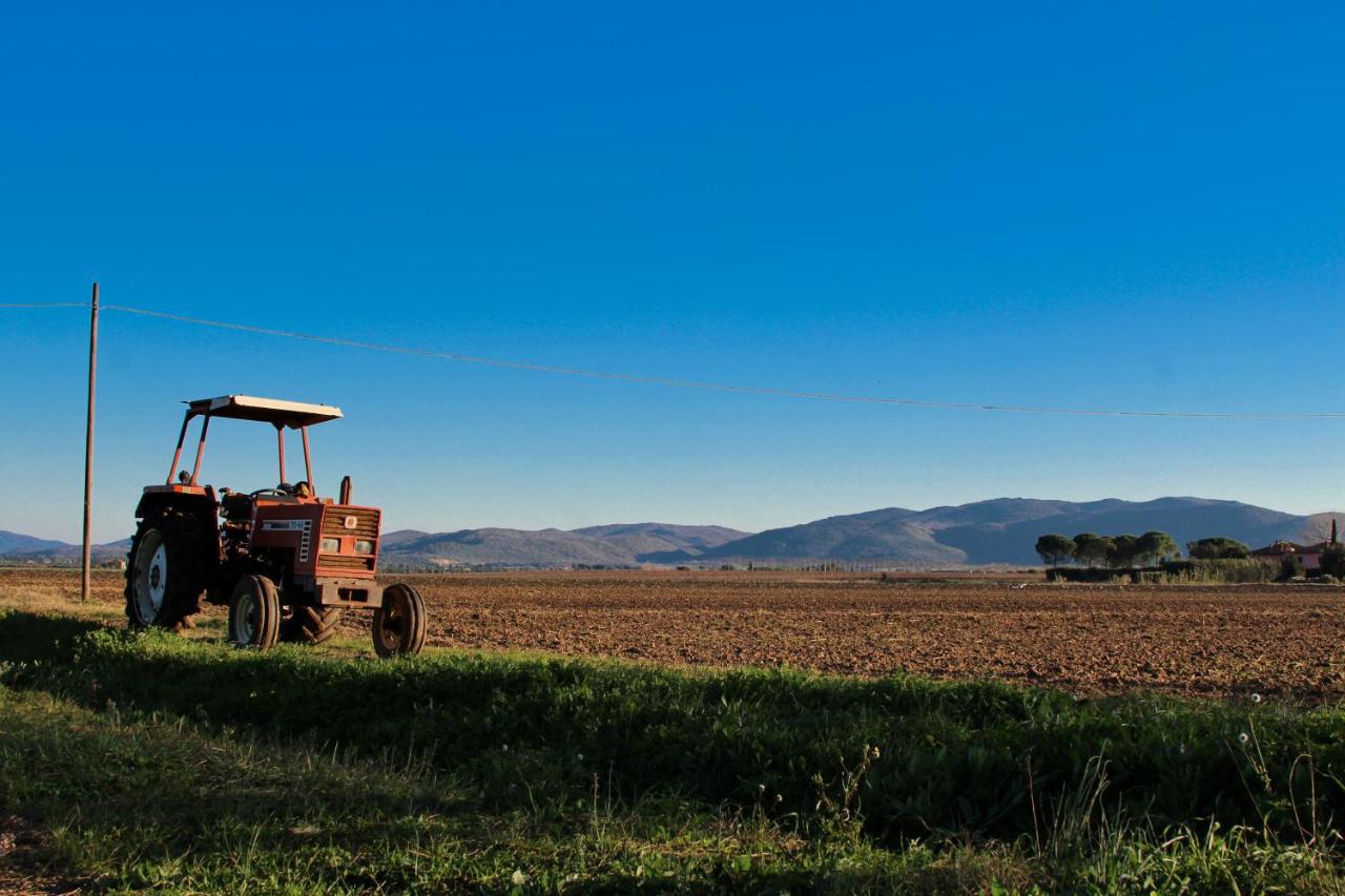 Agriturismo Poderedodici Орбетело Екстериор снимка
